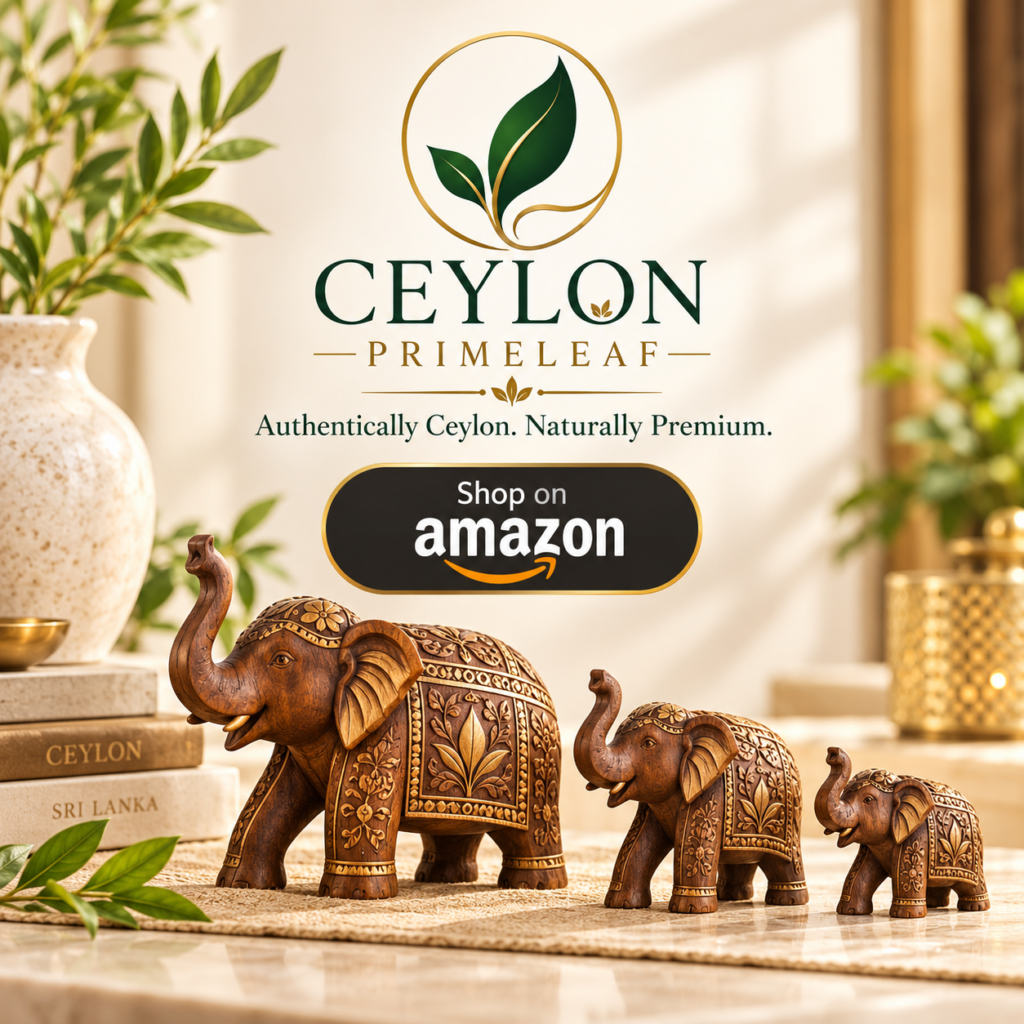 Shop on Amazon